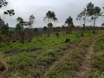 Louveira Abadia Area Venda R$3.150.000,00  Area do terreno 52000.00m2 