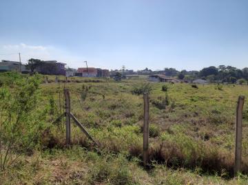 Itupeva Bairro da Chaves Area Venda R$16.000.000,00 