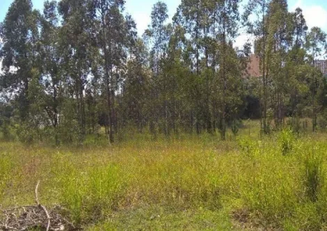 Jundiai Vila Japi II Terreno Venda R$40.000.000,00  Area do terreno 14392.00m2 